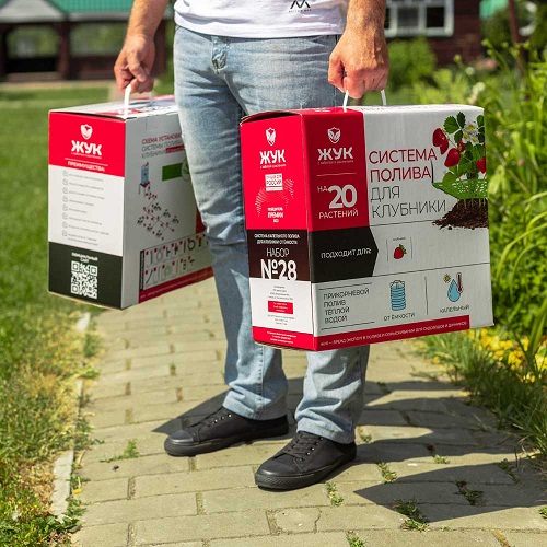 Капельный полив клубники ЖУК от емкости