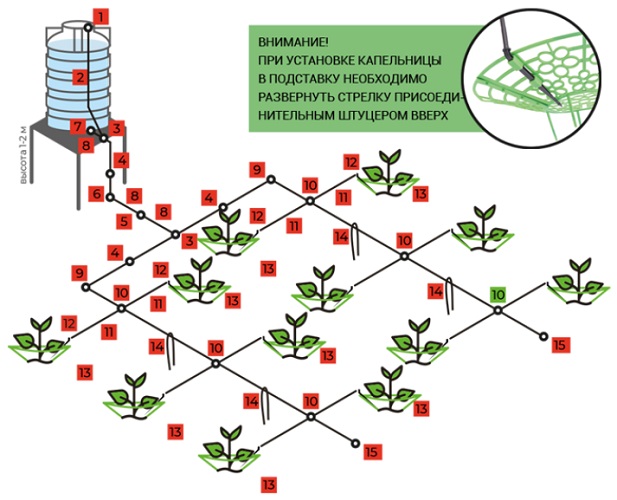 Капельный полив клубники ЖУК от емкости