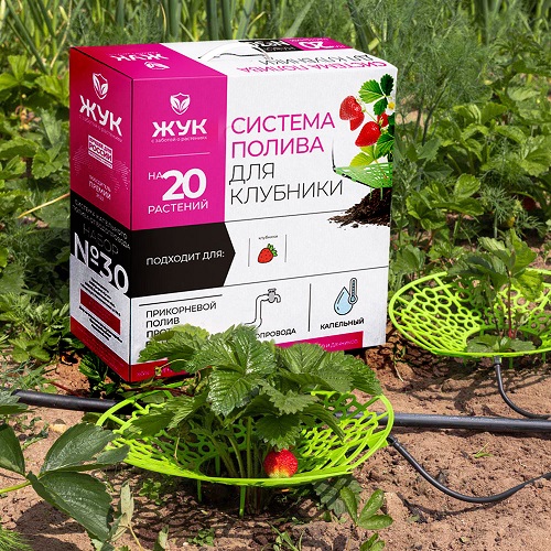 Капельный полив клубники ЖУК от водопровода