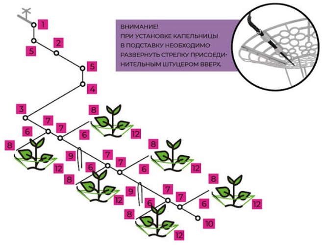 Капельный полив клубники ЖУК от водопровода